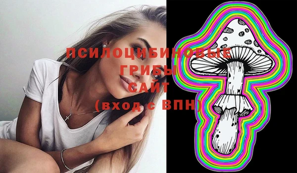 прущий лед Михайловск