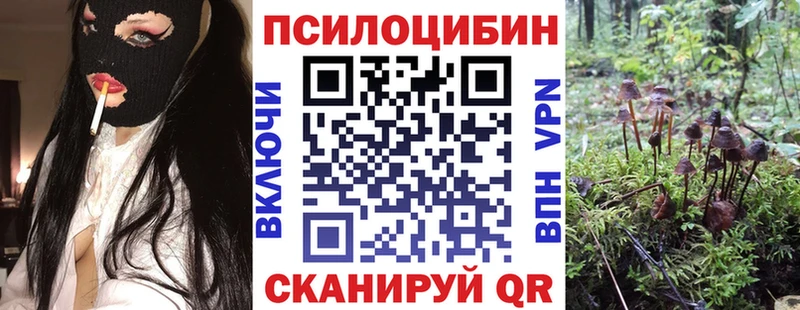Галлюциногенные грибы GOLDEN TEACHER  Нерехта 
